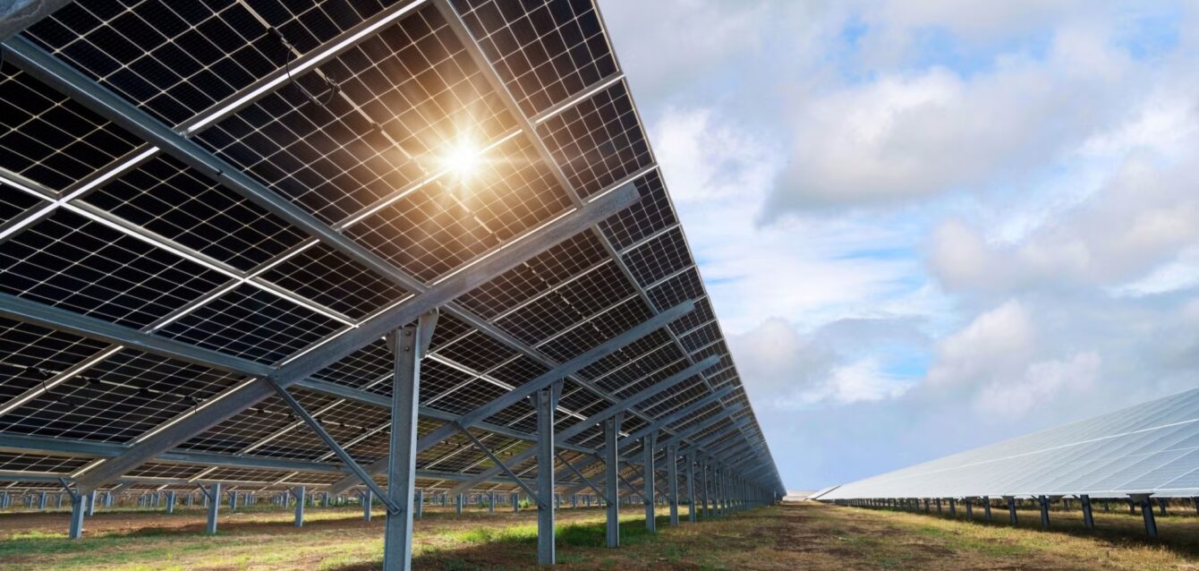bifacial-solar-panels-in-a-field